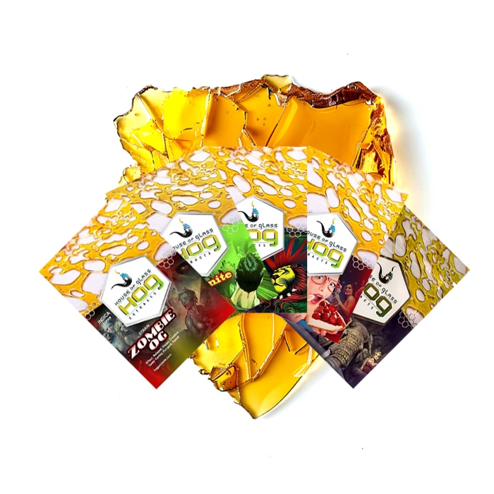 House of Glass Shatter packs featuring multiple strain varieties fanned out over a background of golden cannabis concentrate, showcasing a collection of shatter strains.