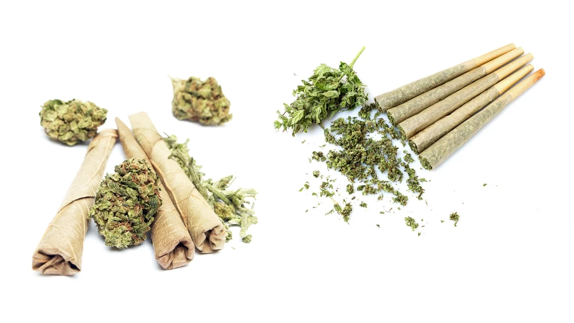 Cannabis Basics – Blunt Vs Joint