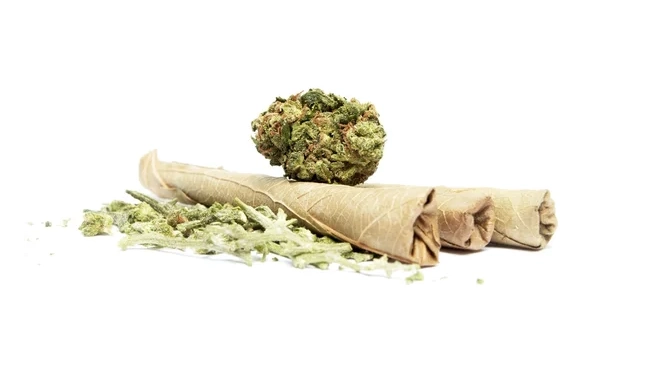 Close-up of three cannabis blunts rolled with brown hemp or tobacco wraps, accompanied by loose cannabis flower and a single large bud resting on top, all set against a white background.