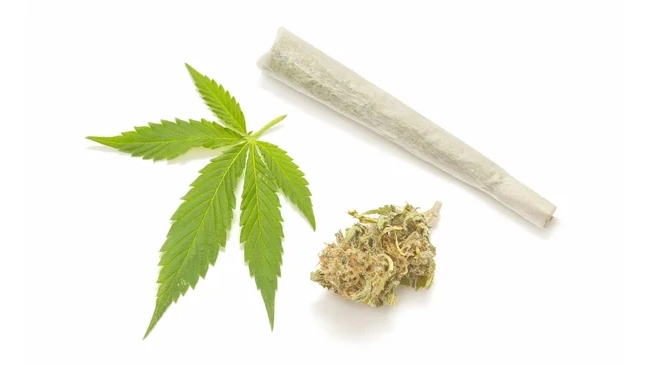 A cannabis pre-roll placed alongside a green cannabis leaf and a single cannabis bud, displayed on a white background.