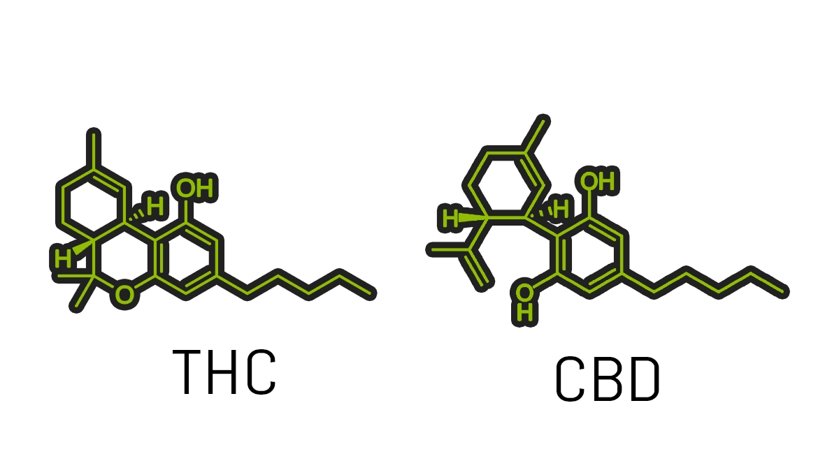 THC Vs CBD molecules on white background