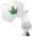 All Smoking Accessories Icon
