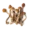 Dried Mushrooms Icon