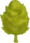 Indica Icon