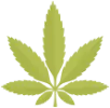 New Customer Special Icon