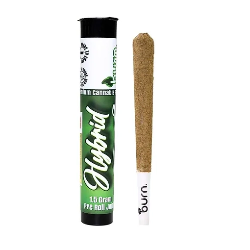 Burn Hybrid Infused Pre Rolls 1.5g Joint, packaged in a hard tube, rolled with premium flower, hybrid distillate, and coated in kief