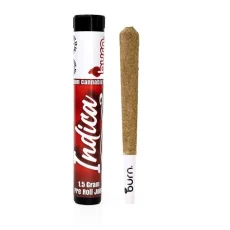 Burn Indica Infused Joints in hard tube packaging, infused with potent indica distillate and coated with kief