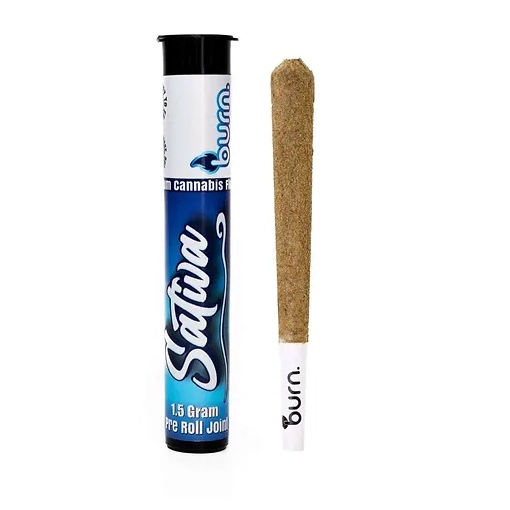 Burn Sativa Infused Blunt 1.5g Pre-Roll Joint in hard tube packaging, infused with potent sativa distillate and coated with kief