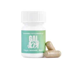 A bottle of Euphoria Psychedelics Galaxy Mushroom Pills, labeled with 3000mg psilocybin. Two capsules are placed in front of the bottle, emphasizing the psilocybin mushroom content.