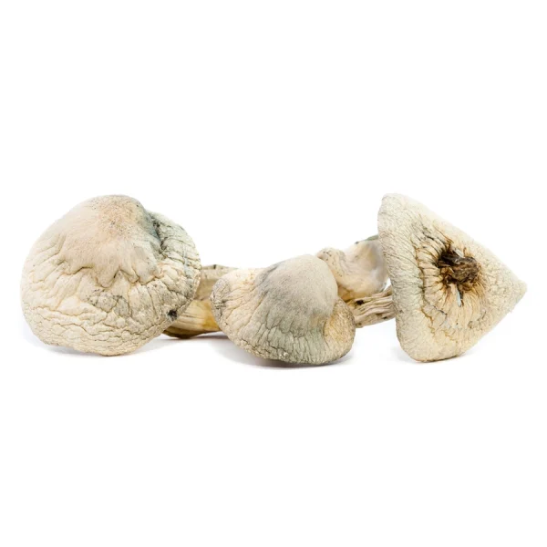 3.5g (1/8oz)