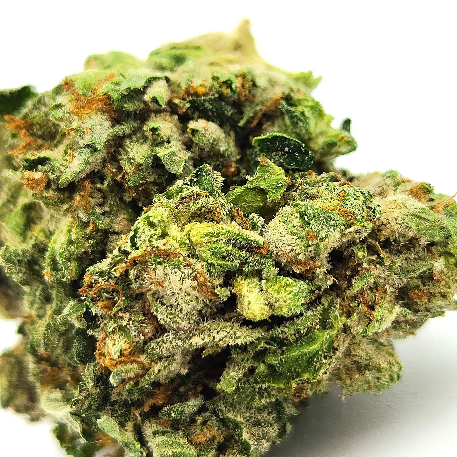 Citral Glue Weed Strain Bud Closeup Macro Shot