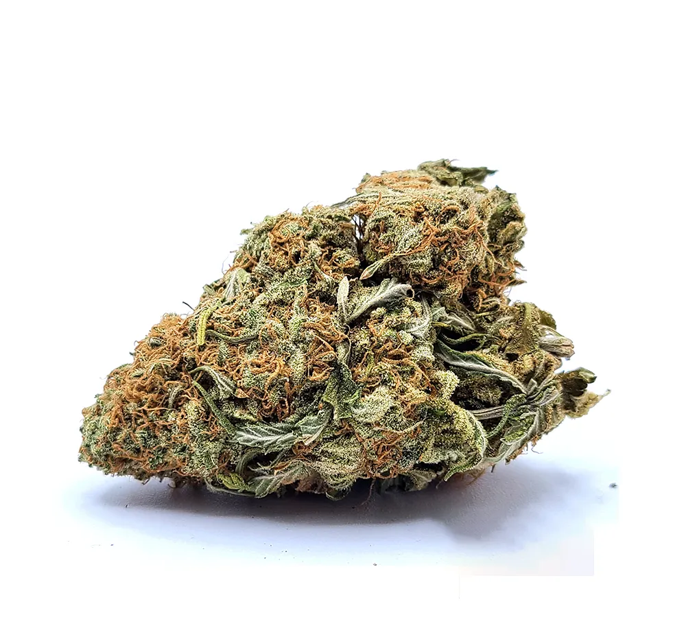 Critical Kush Weed Strain Bud on White Background