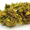 Critical Orange Punch Weed Strain Bud Closeup Macro Shot