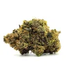 Dark Demon Weed Strain Bud on White Background