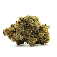 Dark Demon Weed Strain Bud on White Background