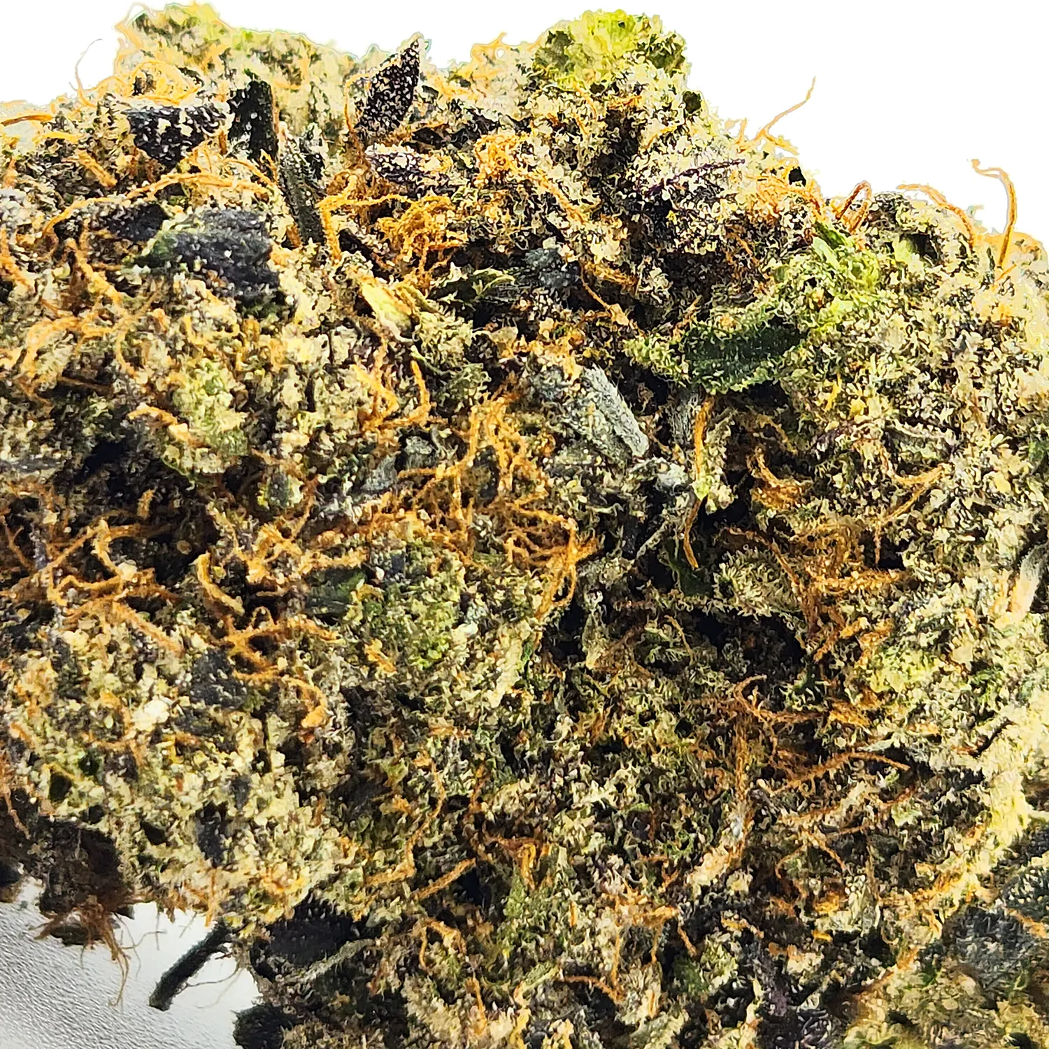 Dark Demon Weed Strain Bud Closeup Macro Shot