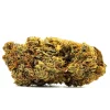 Double OG Weed Strain Bud on White Background