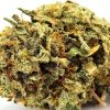 Gummy Bears Weed Strain Bud on White Background Macro Close up