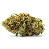Gummy Bears Weed Strain Bud on White Background