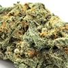 Gushers Weed Strain Bud Closeup Macro Shot