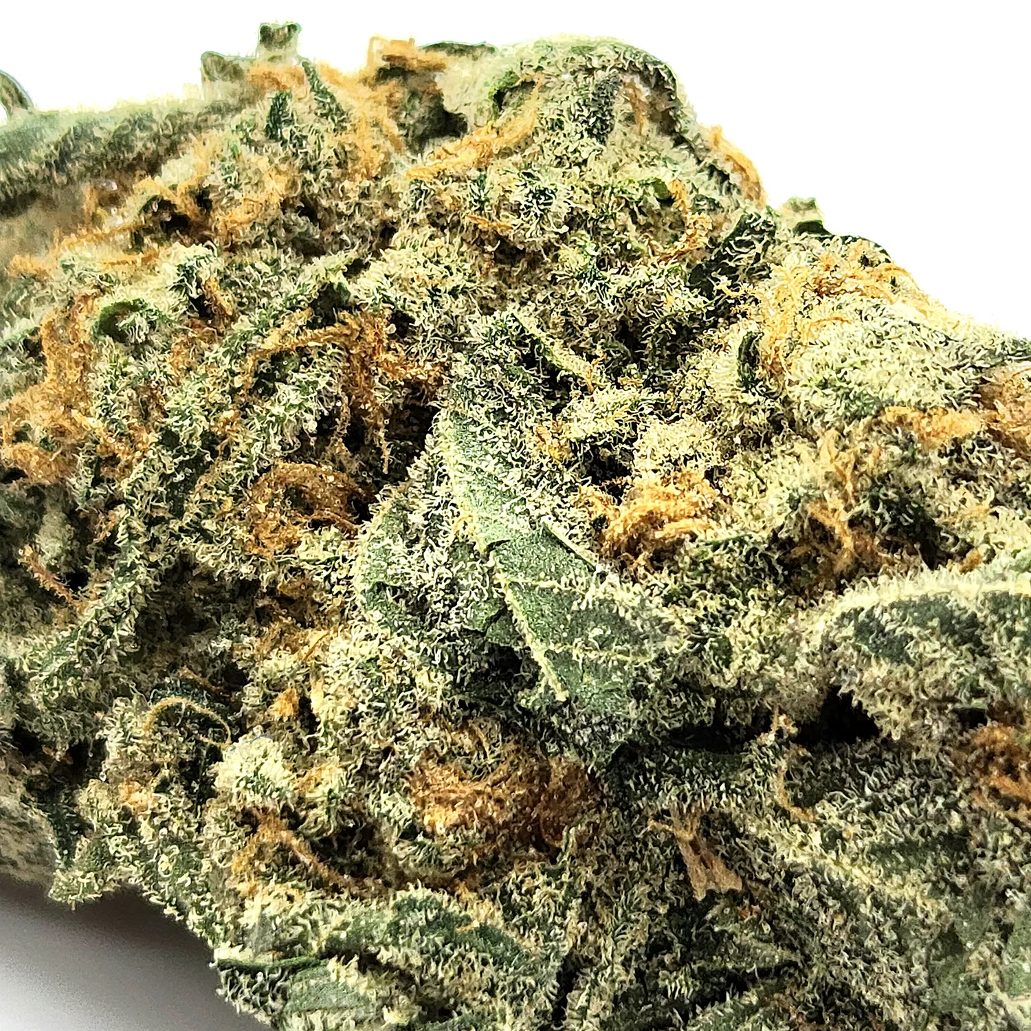 Gushers Weed Strain Bud Closeup Macro Shot