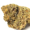A macro shot of the Ice Cream weed strain bud, highlighting the intricate details of the trichome-coated surface, with subtle shades of green and orange threading through the structure.