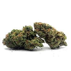Jolly Rancher Strain Buds on White Background