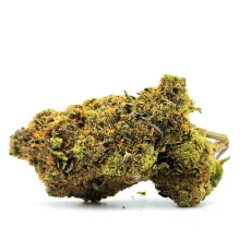 Kodiak Kush Weed Strain Bud on White Background