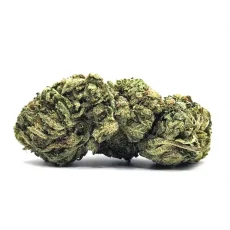 MK Ultra Weed Strain Bud on White Background