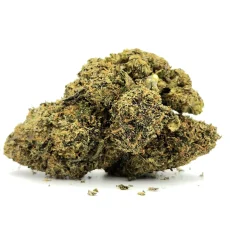 Mister Moonshine Weed Strain Bud on White Background
