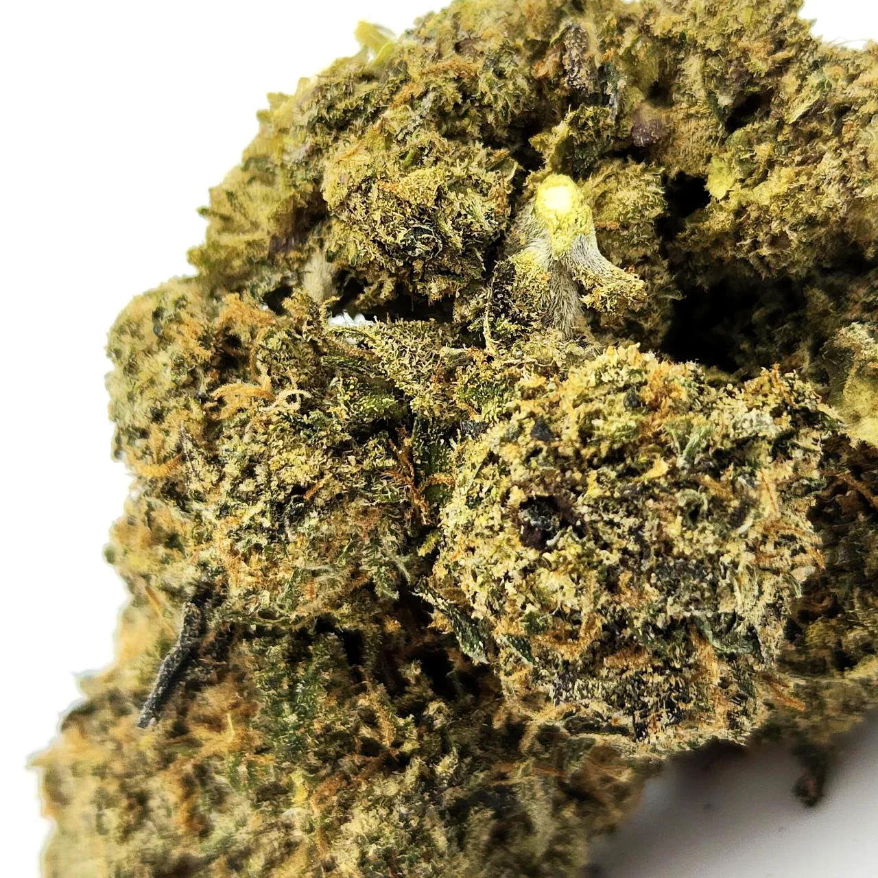 Mister Moonshine Weed Strain Bud Closeup Macro Shot