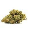 Pinkman Goo Weed Strain Bud on White Background