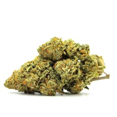 Pinkman Goo Weed Strain Bud on White Background