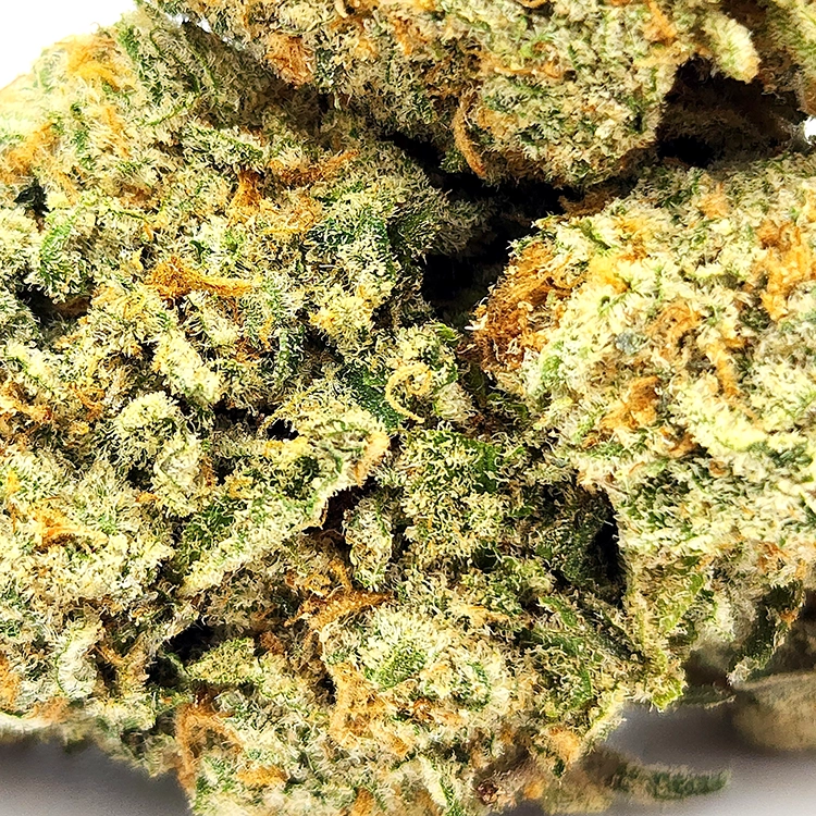 Pinkman Goo Weed Strain Bud Closeup Macro Shot