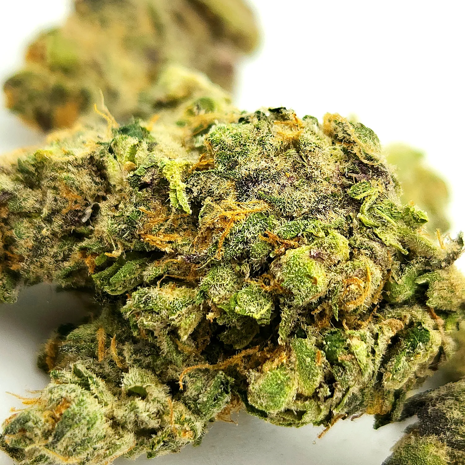 Purple DIesel Weed Strain Bud Closeup Macro Shot