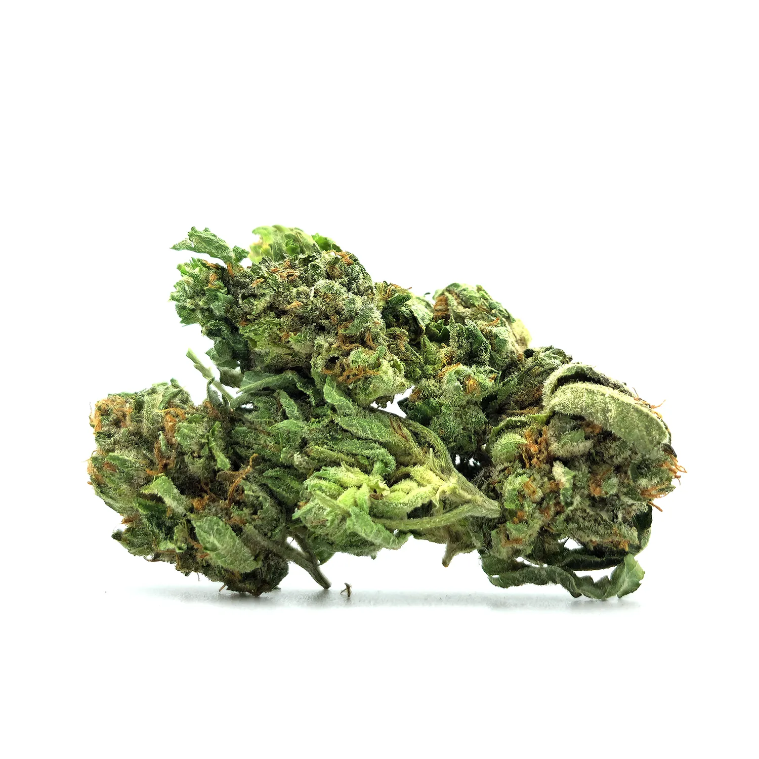 Rock Bud Weed Strain Bud on White Background