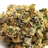 Rockstar Weed Strain Bud Closeup Macro Shot