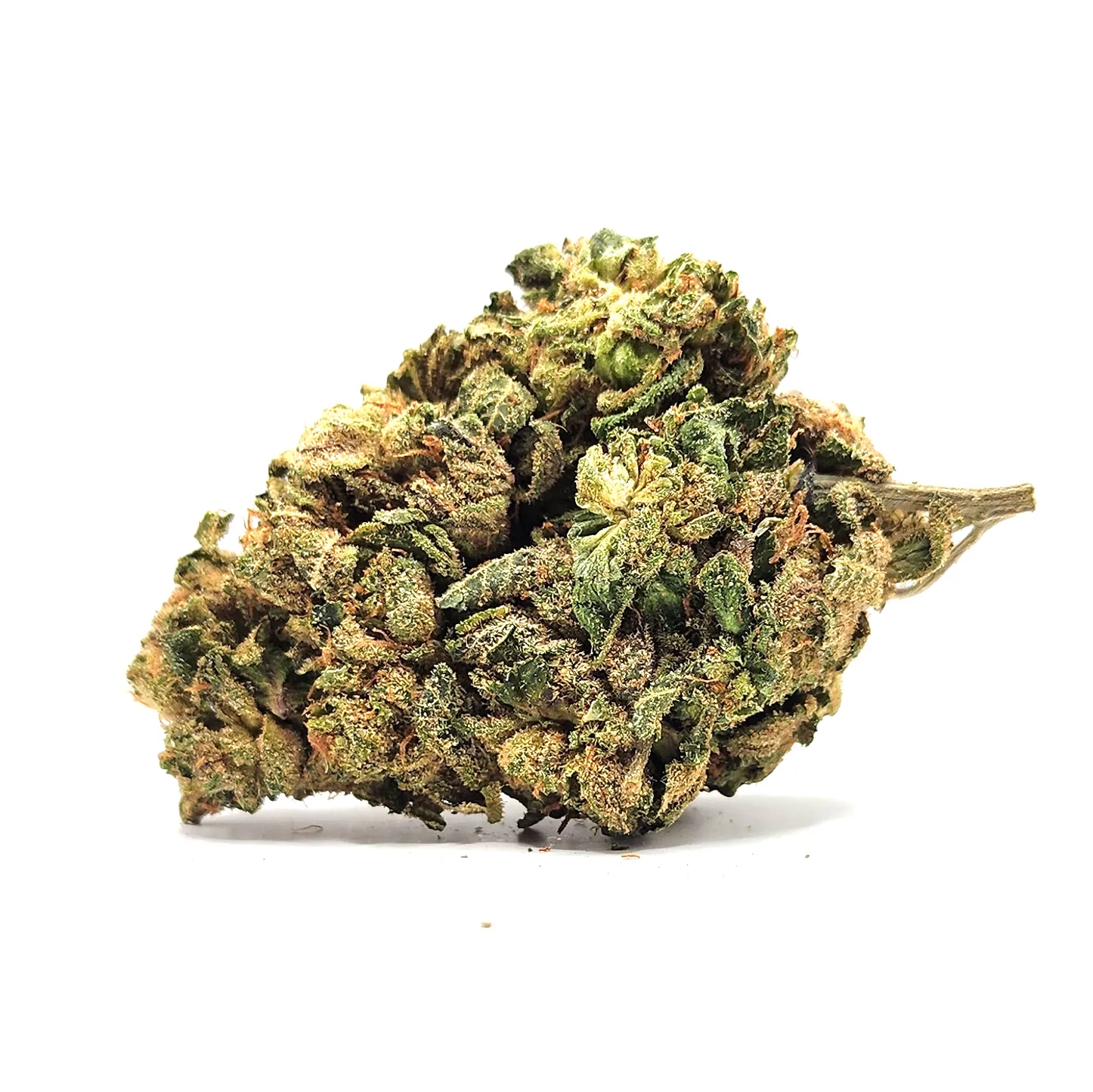 Sunset Sherbet Weed Strain Bud on White Background