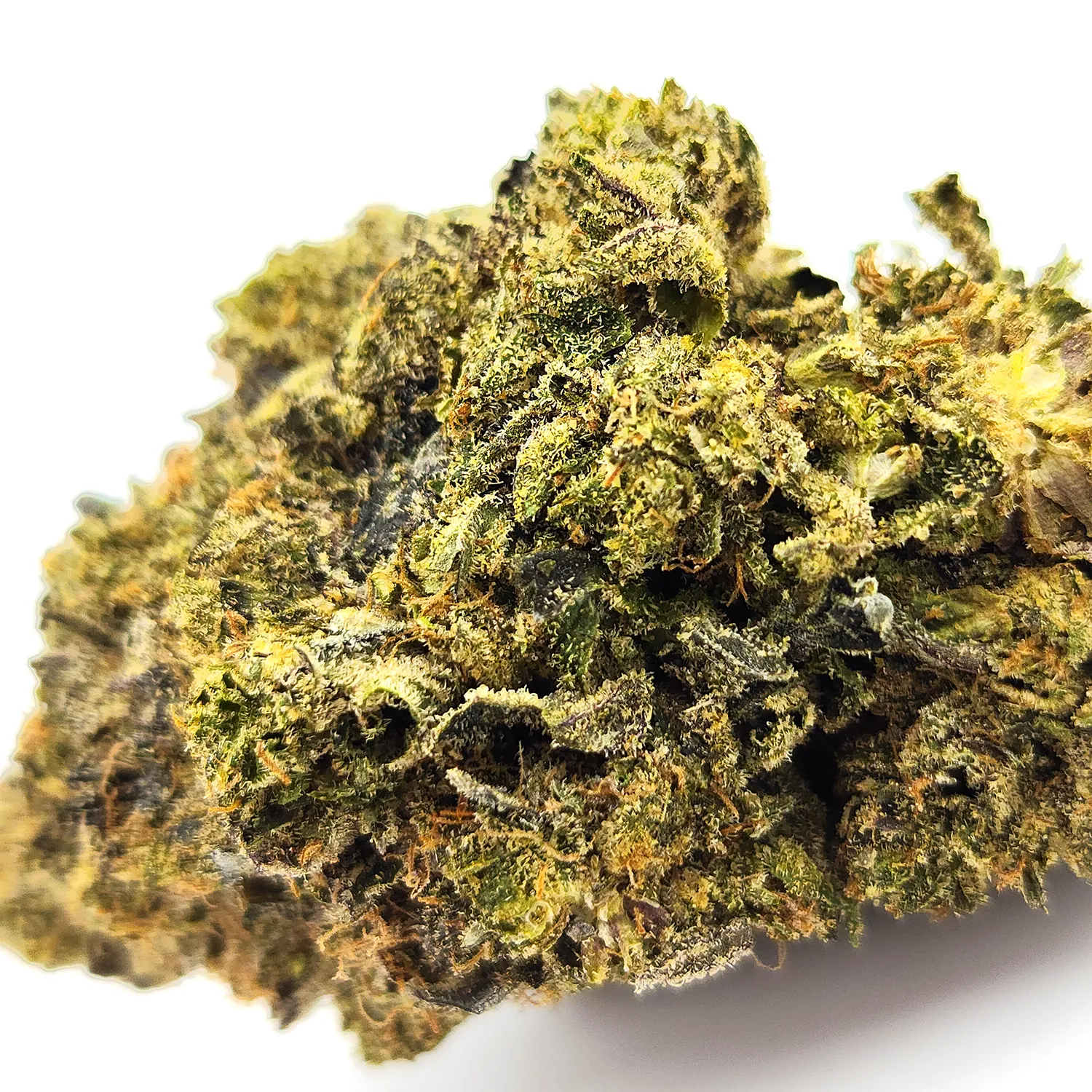 Terminator Weed Strain Bud Closeup Macro Shot