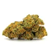 Tropicana Weed Strain Bud on White Background