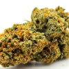 Tropicana Weed Strain Bud Close up