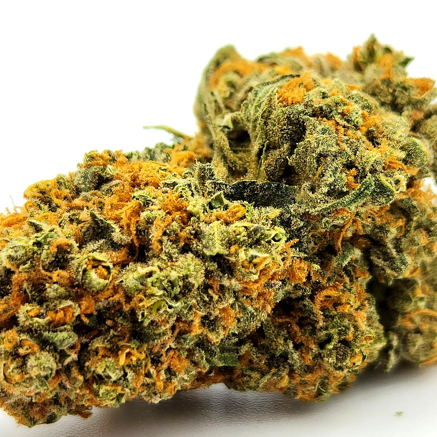 Tropicana Weed Strain Bud Close up