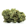 Wagyu Pink Weed Strain Bud on White Background