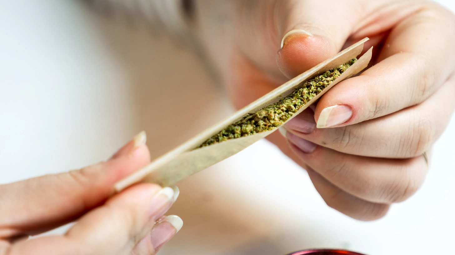 Cannabis Basics – How To Roll A Joint?