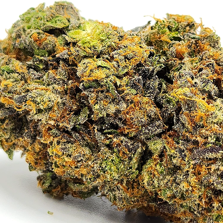 Citrus Samurai Weed Strain Closeup