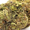 Supreme Snowman Weed Strain Closeup