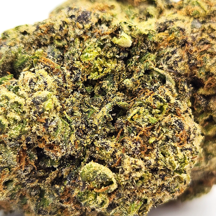 Supreme Snowman Weed Strain Closeup