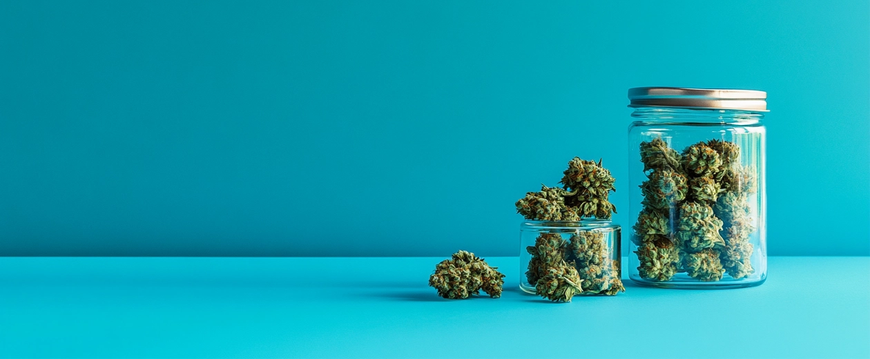 Glass jars filled with vibrant cannabis flower buds on a bright turquoise background, showcasing freshness and quality for those looking to buy their weed online.