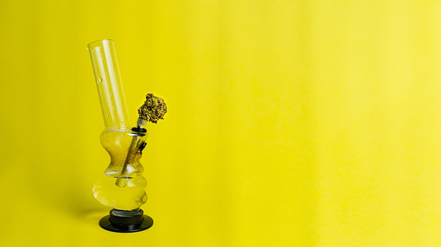 Top 5 Beginner-Friendly Cannabis Consumption Methods