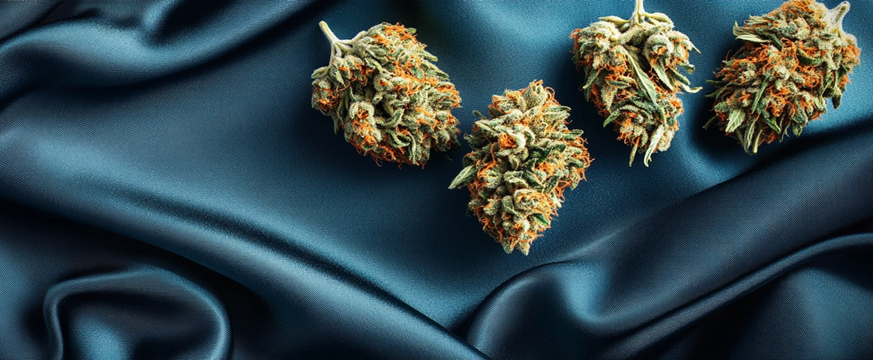 High-quality Indica cannabis buds resting on smooth blue fabric, highlighting their dense structure, rich trichome coating, and deep orange pistils. A premium choice when you buy Indica online.